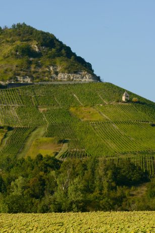 Syndicat des Vins du Bugey 