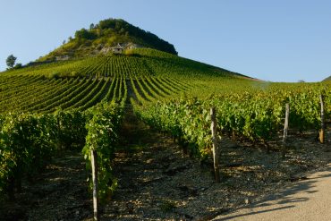 Syndicat des Vins du Bugey 