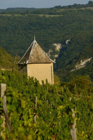 Syndicat des Vins du Bugey 