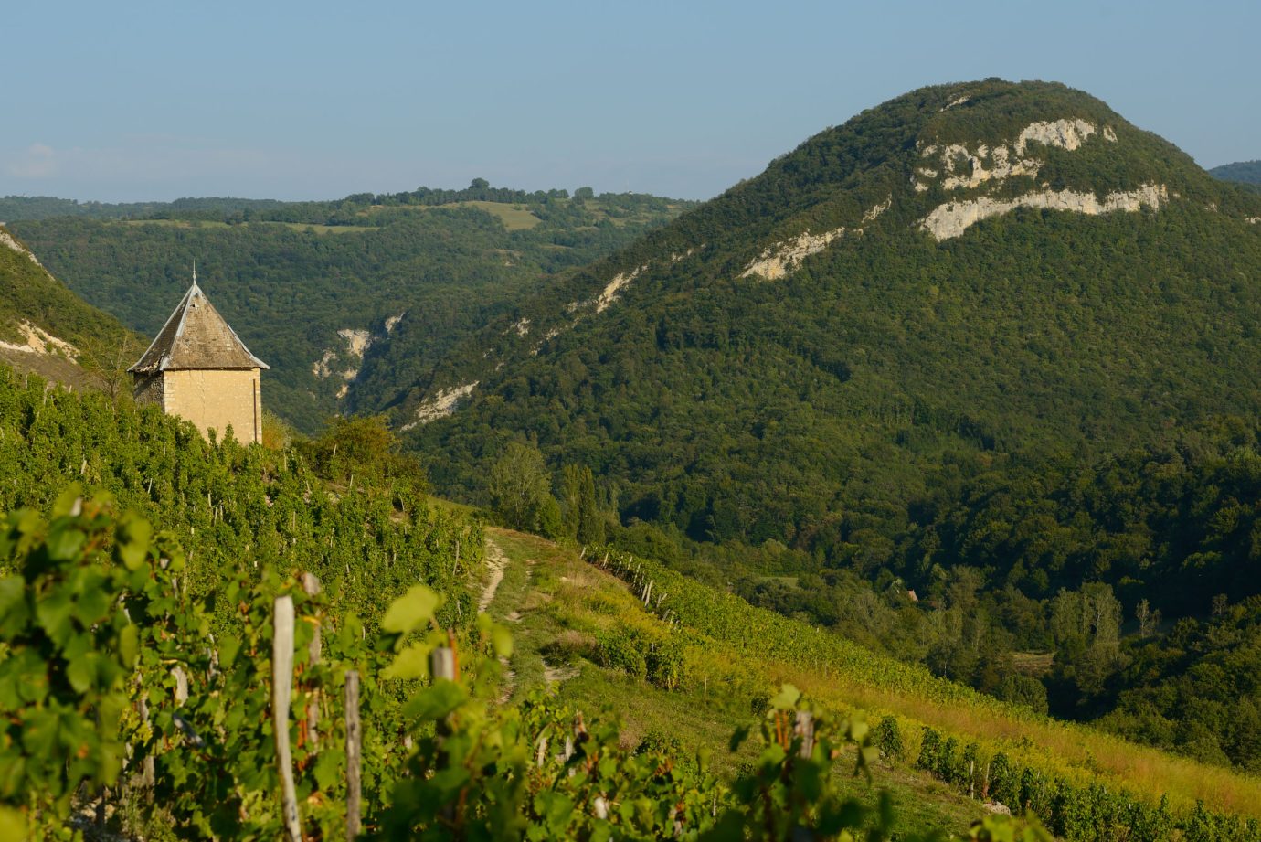 Le Village De Cerdon à La Croisée Des Vignes Et De Lhistoire · Vins Du Bugey 