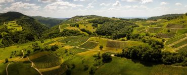 Syndicat des Vins du Bugey 