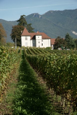 Syndicat des Vins du Bugey 