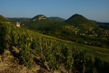 Syndicat des Vins du Bugey 